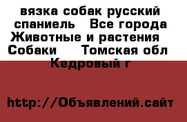 вязка собак русский спаниель - Все города Животные и растения » Собаки   . Томская обл.,Кедровый г.